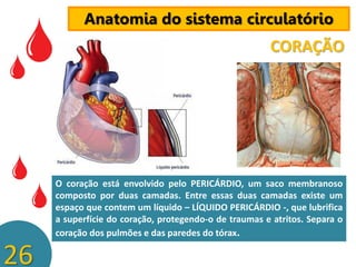 Anatomia do sistema circulatório

CORAÇÃO

O coração está envolvido pelo PERICÁRDIO, um saco membranoso
composto por duas camadas. Entre essas duas camadas existe um
espaço que contem um líquido – LÍQUIDO PERICÁRDIO -, que lubrifica
a superfície do coração, protegendo-o de traumas e atritos. Separa o
coração dos pulmões e das paredes do tórax.

26

 