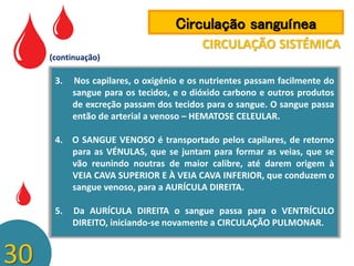 Circulação sanguínea
CIRCULAÇÃO SISTÉMICA
(continuação)

3.

Nos capilares, o oxigénio e os nutrientes passam facilmente do
sangue para os tecidos, e o dióxido carbono e outros produtos
de excreção passam dos tecidos para o sangue. O sangue passa
então de arterial a venoso – HEMATOSE CELEULAR.

4. O SANGUE VENOSO é transportado pelos capilares, de retorno
para as VÉNULAS, que se juntam para formar as veias, que se
vão reunindo noutras de maior calibre, até darem origem à
VEIA CAVA SUPERIOR E À VEIA CAVA INFERIOR, que conduzem o
sangue venoso, para a AURÍCULA DIREITA.
5.

30

Da AURÍCULA DIREITA o sangue passa para o VENTRÍCULO
DIREITO, iniciando-se novamente a CIRCULAÇÃO PULMONAR.

 