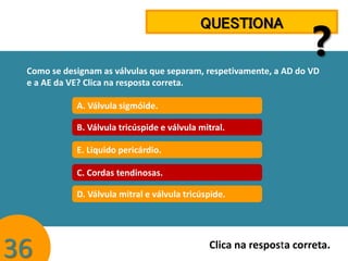 QUESTIONA

?

Como se designam as válvulas que separam, respetivamente, a AD do VD
e a AE da VE? Clica na resposta correta.

A. Válvula sigmóide.
B. Válvula tricúspide e válvula mitral.
E. Liquido pericárdio.
C. Cordas tendinosas.
D. Válvula mitral e válvula tricúspide.

36

Clica na resposta correta.

 