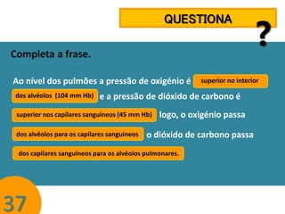 QUESTIONA
Completa a frase.
Ao nível dos pulmões a pressão de oxigénio é
dos alvéolos (104 mm Hb)

dos alvéolos para os capilares sanguíneos

logo, o oxigénio passa

o dióxido de carbono passa

dos capilares sanguíneos para os alvéolos pulmonares.
.

37

superior no interior

e a pressão de dióxido de carbono é

superior nos capilares sanguíneos (45 mm Hb)

?

 