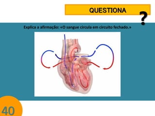 QUESTIONA
Explica a afirmação: «O sangue circula em circuito fechado.»

40

?

 