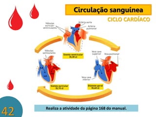 Circulação sanguínea
CICLO CARDÍACO

42

Realiza a atividade da página 168 do manual.

 