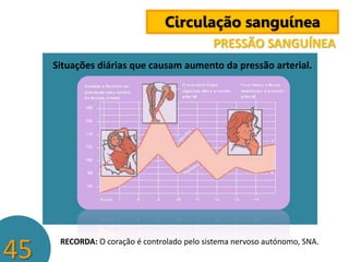 Circulação sanguínea
PRESSÃO SANGUÍNEA
Situações diárias que causam aumento da pressão arterial.

45

RECORDA: O coração é controlado pelo sistema nervoso autónomo, SNA.

 