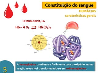Constituição do sangue
HEMÁCIAS
caraterísticas gerais
HEMOGLOBINA, Hb

Hb + 4 02

5

Hb (0 2 ) 4

A hemoglobina combina-se facilmente com o oxigénio, numa
reação reversível transformando-se em oxihemoglobina.

 