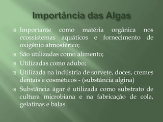 Importância das AlgasImportante como matéria orgânica nos ecossistemas aquáticos e fornecimento de oxigênio atmosférico;São utilizadas como alimento;Utilizadas como adubo;Utilizada na indústria de sorvete, doces, cremes dentais e cosméticos - (substância algina)Substância ágar é utilizada como substrato de cultura microbiana e na fabricação de cola, gelatinas e balas.