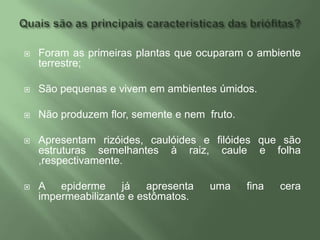 Quais são as principais características das briófitas?Foram as primeiras plantas que ocuparam o ambiente terrestre;