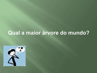  Não possuem sementes e nem flores.- Vivem em ambiente úmido, pois dependem da água do meio para a reprodução.Pteridófitas:- São vasculares.- Possuem grande porte. Possuem raiz, caule e folhas.