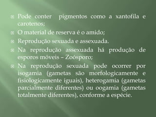 Pode conter  pigmentos como a xantofila e carotenos;O material de reserva é o amido;Reprodução sexuada e assexuada.Na reprodução assexuada há produção de esporos móveis – Zoósporo;Na reprodução sexuada pode ocorrer por isogamia (gametas são morfologicamente e fisiologicamente iguais), heterogamia (gametas parcialmente diferentes) ou oogamia (gametas totalmente diferentes), conforme a espécie.