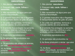 ESTRÓBILO DE DIVERSOS TIPOS DE  GIMNOSPERMAS