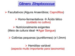  Hemólise variável
(aspecto muito importante para taxonomia)
 Nutricionalmente exigentes
(Meio de cultura ideal Agar Sangue)
 Colônias pequenas (puntiformes) (±1,0mm)
 Facultativos (Alguns Anaeróbios; Capnófilos)
Gênero Streptococcus
 Homo-fermentativos  Ácido lático
(cuidado no cultivo)
 