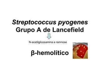 Streptococcus pyogenes
Grupo A de Lancefield
β-hemolítico
N-acetilglicosamina e ramnose
 