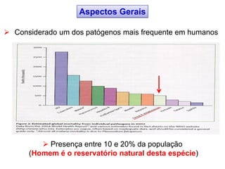 Aspectos Gerais
 Considerado um dos patógenos mais frequente em humanos
 Presença entre 10 e 20% da população
(Homem é o reservatório natural desta espécie)
 