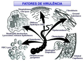 FATORES DE VIRULÊNCIA
 