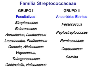 Família Streptococcaceae
GRUPO I
Facultativos
Streptococcus
Enterococcus
Aerococcus, Lactococcus
Leuconostoc, Pediococcus
Gemella, Alloiococcus
Vagococcus,
Tetragenococcus
Globicatella, Helcococcus
GRUPO II
Anaeróbios Estritos
Peptococcus
Peptostreptococcus
Ruminococcus
Coprococcus
Sarcina
 