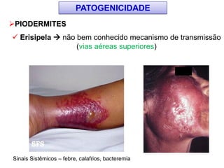 PIODERMITES
 Erisipela  não bem conhecido mecanismo de transmissão
(vias aéreas superiores)
Sinais Sistêmicos – febre, calafrios, bacteremia
PATOGENICIDADE
 