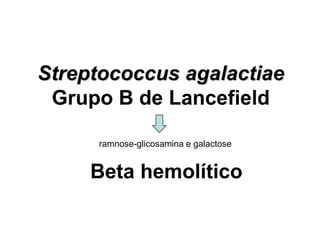 Streptococcus agalactiae
Grupo B de Lancefield
Beta hemolítico
ramnose-glicosamina e galactose
 