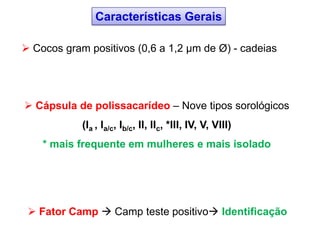  Cocos gram positivos (0,6 a 1,2 µm de Ø) - cadeias
 Cápsula de polissacarídeo – Nove tipos sorológicos
(Ia , Ia/c, Ib/c, II, IIc, *III, IV, V, VIII)
* mais frequente em mulheres e mais isolado
 Fator Camp  Camp teste positivo Identificação
Características Gerais
 