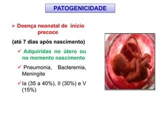 PATOGENICIDADE
 Doença neonatal de início
precoce
(até 7 dias após nascimento)
 Adquiridas no útero ou
no momento nascimento
 Pneumonia, Bacteremia,
Meningite
Ia (35 a 40%), II (30%) e V
(15%)
 