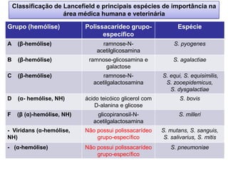 Grupo (hemólise) Polissacarídeo grupo-
específico
Espécie
A (β-hemólise) ramnose-N-
acetilglicosamina
S. pyogenes
B (β-hemólise) ramnose-glicosamina e
galactose
S. agalactiae
C (β-hemólise) ramnose-N-
acetilgalactosamina
S. equi, S. equisimilis,
S. zooepidemicus,
S. dysgalactiae
D (α- hemólise, NH) ácido teicóico glicerol com
D-alanina e glicose
S. bovis
F (β (α)-hemólise, NH) glicopiranosil-N-
acetilgalactosamina
S. milleri
- Viridans (α-hemólise,
NH)
Não possui polissacarídeo
grupo-específico
S. mutans, S. sanguis,
S. salivarius, S. mitis
- (α-hemólise) Não possui polissacarídeo
grupo-específico
S. pneumoniae
Classificação de Lancefield e principais espécies de importância na
área médica humana e veterinária
 