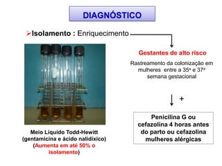 Isolamento : Enriquecimento
Meio Líquido Todd-Hewitt
(gentamicina e ácido nalidíxico)
(Aumenta em até 50% o
isolamento)
DIAGNÓSTICO
Gestantes de alto risco
Rastreamento da colonização em
mulheres entre a 35a e 37a
semana gestacional
Penicilina G ou
cefazolina 4 horas antes
do parto ou cefazolina
mulheres alérgicas
+
 