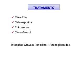 TRATAMENTO
 Penicilina
 Cefalosporina
 Eritromicina
 Cloranfenicol
Infecções Graves: Penicilina + Aminoglicosídeo
 