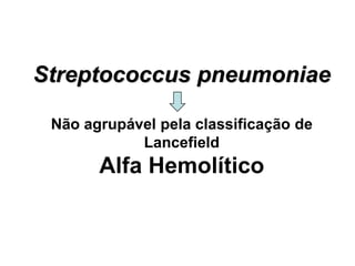 Streptococcus pneumoniae
Não agrupável pela classificação de
Lancefield
Alfa Hemolítico
 
