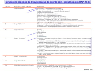 Grupos de espécies de Streptococcus de acordo com sequência do rRNA 16 S
(Koneman, 2001)
 