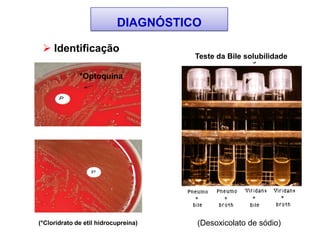  Identificação
*Optoquina
(*Cloridrato de etil hidrocupreina)
Teste da Bile solubilidade
DIAGNÓSTICO
(Desoxicolato de sódio)
 