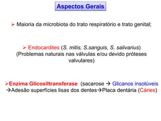 Enzima Glicosiltransferase (sacarose  Glicanos insolúveis
Adesão superfícies lisas dos dentesPlaca dentária (Cáries)
 Maioria da microbiota do trato respiratório e trato genital;
 Endocardites (S. mitis, S.sanguis, S. salivarius)
(Problemas naturais nas válvulas e/ou devido próteses
valvulares)
Aspectos Gerais
 