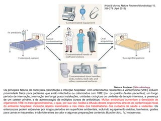 Os principais fatores de risco para colonização e infecção hospitalar com enterococos resistentes à vancomicina (VRE) incluem
proximidade física para pacientes que estão infectados ou colonizados com VRE (ou os quartos destes pacientes); um longo
período de internação, internação em longa prazo instalações, unidades cirúrgicas ou unidades de terapia intensiva, a presença
de um cateter urinário, e da administração de múltiplos cursos de antibióticos. Muitos antibióticos aumentam a densidade de
organismos VRE no trato gastrointestinal, o qual, por sua vez, facilita a difusão destes organismos através de contaminação fecal
do ambiente hospitalar, incluindo objetos inanimados e nas mãos dos trabalhadores dos cuidados de saúde e visitantes. Os
enterococos podem sobreviver por longos períodos em superfícies ambientais, incluindo equipamento médico, banheiros, grades
para camas e maçanetas, e são tolerantes ao calor e algumas preparações contendo álcool e cloro, IV, intravenosa.
Arias & Murray. Nature Reviews Microbiology 10,
266-278 (April 2012)
 
