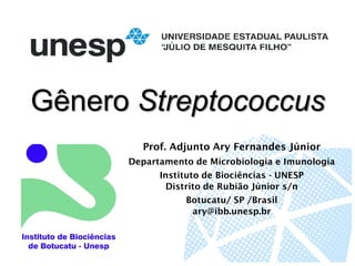 Gênero Streptococcus
Departamento de Microbiologia e Imunologia
Instituto de Biociências - UNESP
Distrito de Rubião Júnior s/n
Botucatu/ SP /Brasil
ary@ibb.unesp.br
Prof. Adjunto Ary Fernandes Júnior
 