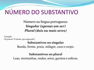 NÚMERO DO SUBSTANTIVO
Número na língua portuguesa:
Singular (apenas um ser)
Plural (dois ou mais seres)
Exemplo:
No poema “A bunda, que engraçada”:
Substantivos no singular
Bunda, frente, praia, milagre, caos e corpo.
Substantivos no plural
Luas, montanhas, ondas, seios, garotos e esferas.
 