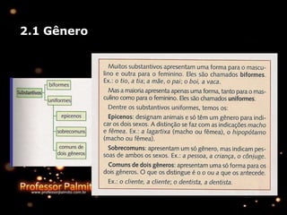 2.1 Gênero
 