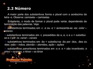 2.2 Número
A maior parte dos substantivos forma o plural com o acréscimo da
letra -s. Observe: camiseta – camisetas
Entretanto, o modo de formar o plural pode variar, dependendo da
terminação das palavras. Veja:
➢ substantivos terminados em -r, -s ou -z = acrescenta-se -es: colar –
colares
➢substantivos terminados em -l, precedidos de a, e, o e u = substitui-
se o -l por -is: canal – canais
➢ substantivos terminados em -ão = substitui-se -ão por -ãos, -ães ou
-ões: mão – mãos, alemão – alemães, ação – ações
➢ substantivos paroxítonos terminados em -s e -x = são invariáveis: o
pires – os pires, o tórax – os tórax
 