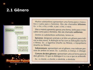 2.1 Gênero
 