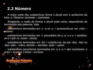 2.2 Número
A maior parte dos substantivos forma o plural com o acréscimo da
letra -s. Observe: camiseta – camisetas
Entretanto, o modo de formar o plural pode variar, dependendo da
terminação das palavras. Veja:
➢ substantivos terminados em -r, -s ou -z = acrescenta-se -es: colar –
colares
➢ substantivos terminados em -l, precedidos de a, e, o e u = substitui-
se o -l por -is: canal – canais
➢ substantivos terminados em -ão = substitui-se -ão por -ãos, -ães ou
-ões: mão – mãos, alemão – alemães, ação – ações
➢ substantivos paroxítonos terminados em -s e -x = são invariáveis: o
pires – os pires, o tórax – os tórax
 