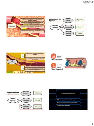 06/04/2018
3
Constituem a principal forma de armazenamento da
gordura nos adipócitos
Altos níveis de triglicerídeos (acima de 200) associam-se à
maior ocorrência de doença coronariana
Altos níveis de triglicerídeos costumem acompanhar-se de
baixos níveis de HDL
Triglicerídeos muito altos, acima de 400-500,podem causar
inflamação.
Triglicerídeos
Classificação dos
Lipídeos Simples
Compostos
Derivados
Lipídeos
Triglicerídeos
HDL e LDL
Colesterol
LDL
HDL
A.G.
Compostos
O fígado e o intestino delgado produzem as lipoproteínas de alta
densidade (HDL)
Contem a maior quantidade de proteínas (50%), menor
quantidade de lipídio e de colesterol.
Contem a maior quantidade de colesterol (60-80%)
O fígado produz VLDL que produz uma lipoproteína de baixa
densidade (LDL)
Conduzem o colesterol até o tecido arterial onde o LDL:
1) serão oxidado e 2) captado pelo macrófagos a fim de iniciar
placa aterosclerótica
“Transporte reverso do colesterol” “efeito protetor das artérias”
Classificação dos
Lipídeos Simples
Compostos
Derivados
Lipídeos
Triglicerídeos
HDL e LDL
Colesterol
A Faz bem, precisamos comer muito
B Faz mal, nosso corpo não precisa dele
C Depende da quantidade
O colesterol para nosso corpo?
 