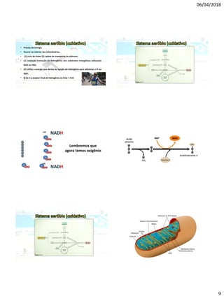 06/04/2018
9
• Precisa de energia
• Ocorre no interior das mitocôndrias;
• (1) ciclo de Krebs (2) cadeia de transporte de elétrons;
• (1) oxidação (remoção do hidrogênio) dos substratos energéticos utilizando
NAD ou FAD;
• (2) utiliza a energia que deriva da ligação do hidrogênio para adicionar o Pi ao
ADP;
• O O2 é o aceptor final de hidrogênio ao final = H2O
A
P P P
A
P P P
+H
+H
A
P P P
A
P P P
A
P P P
A
P P P
Lembremos que
agora temos oxigênio
 