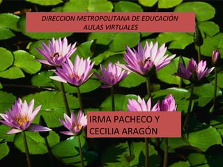 DIRECCION METROPOLITANA DE EDUCACIÓN  AULAS VIRTUALES IRMA PACHECO Y CECILIA ARAGÓN 