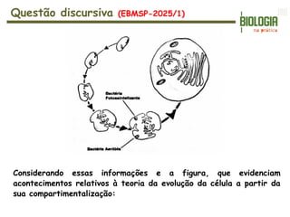 Considerando essas informações e a figura, que evidenciam
acontecimentos relativos à teoria da evolução da célula a partir da
sua compartimentalização:
Questão discursiva (EBMSP-2025/1)
 