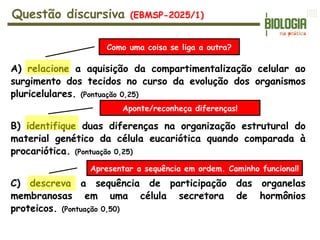 A) relacione a aquisição da compartimentalização celular ao
surgimento dos tecidos no curso da evolução dos organismos
pluricelulares. (Pontuação 0,25)
B) identifique duas diferenças na organização estrutural do
material genético da célula eucariótica quando comparada à
procariótica. (Pontuação 0,25)
C) descreva a sequência de participação das organelas
membranosas em uma célula secretora de hormônios
proteicos. (Pontuação 0,50)
Questão discursiva (EBMSP-2025/1)
Como uma coisa se liga a outra?
Aponte/reconheça diferenças!
Apresentar a sequência em ordem. Caminho funcional!
 