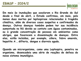 EBMSP – 2024/2
Em meio às inundações que assolaram o Rio Grande do Sul
desde o final de abril, o Estado confirmou, em maio, pelo
menos duas mortes por leptospirose relacionadas à tragédia
climática, além de diversos casos suspeitos e confirmados da
doença. Outras doenças também podem ter sua incidência
aumentada no RS devido ao contato com águas contaminadas,
ou à grande concentração de pessoas em ambientes como
abrigos, que favorecem a disseminação de doenças. Entre
elas, estão incluídas, por exemplo, cólera, febre amarela,
hepatite A , difteria, dengue e diarreia aguda.
Quando um microrganismo, como uma Leptospira, penetra no
organismo, desencadeia uma série de reações de defesa do
nosso sistema imunológico.
 