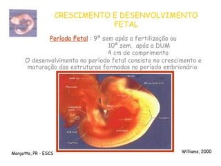 aula tarde embriologia histologia embriologia | PPTX