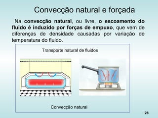 28
Na convecção natural, ou livre, o escoamento do
fluido é induzido por forças de empuxo, que vem de
diferenças de densidade causadas por variação de
temperatura do fluido.
Convecção natural e forçada
Transporte natural de fluidos
Convecção natural
 