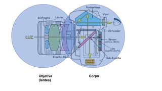 Objetiva
(lentes)
Corpo
 