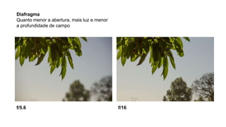 Diafragma
Quanto menor a abertura, mais luz e menor
a profundidade de campo
f/16f/5.6
 