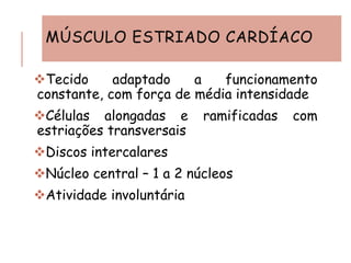 MÚSCULO ESTRIADO CARDÍACO
❖Tecido adaptado a funcionamento
constante, com força de média intensidade
❖Células alongadas e ramificadas com
estriações transversais
❖Discos intercalares
❖Núcleo central – 1 a 2 núcleos
❖Atividade involuntária
 
