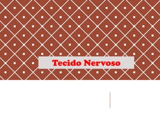 Tecido Nervoso
 
