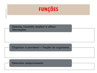 FUNÇÕES
• Comparar com experiências armazenadas
• Respostas pré-determinadas (reflexos)
Detectar, transmitir, analisar e utilizar
informações
• Motoras, viscerais, endócrinas e psíquicas
Organizar e coordenar – funções do organismos
Determina comportamento
 