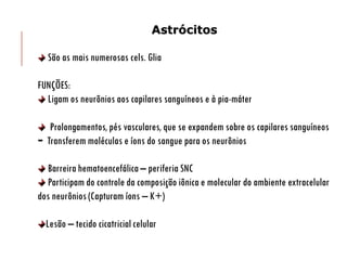Astrócitos
São as mais numerosas cels. Glia
FUNÇÕES:
Ligam os neurônios aos capilares sanguíneos e à pia-máter
Prolongamentos, pés vasculares, que se expandem sobre os capilares sanguíneos
- Transferem moléculas e íons do sangue para os neurônios
Barreira hematoencefálica – periferia SNC
Participam do controle da composição iônica e molecular do ambiente extracelular
dos neurônios (Capturam íons – K+)
Lesão – tecido cicatricial celular
 